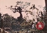 Image of 5th Marine Regiment Peleliu Palau Islands, 1944, second 57 stock footage video 65675022868
