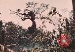Image of 5th Marine Regiment Peleliu Palau Islands, 1944, second 58 stock footage video 65675022868