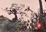 Image of 5th Marine Regiment Peleliu Palau Islands, 1944, second 59 stock footage video 65675022868