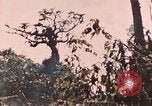Image of 5th Marine Regiment Peleliu Palau Islands, 1944, second 60 stock footage video 65675022868
