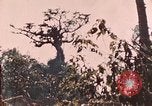 Image of 5th Marine Regiment Peleliu Palau Islands, 1944, second 61 stock footage video 65675022868