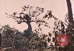 Image of 5th Marine Regiment Peleliu Palau Islands, 1944, second 62 stock footage video 65675022868