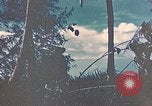 Standbild 5 Marine Regiment Peleliu Palau Inseln, 1944, aus Sekunde 9 historischem Filmmaterial Videoclip 65675022869