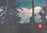 Standbild 5 Marine Regiment Peleliu Palau Inseln, 1944, aus Sekunde 11 historischem Filmmaterial Videoclip 65675022869