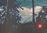 Standbild 5 Marine Regiment Peleliu Palau Inseln, 1944, aus Sekunde 12 historischem Filmmaterial Videoclip 65675022869