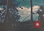 Standbild 5 Marine Regiment Peleliu Palau Inseln, 1944, aus Sekunde 13 historischem Filmmaterial Videoclip 65675022869