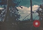 Standbild 5 Marine Regiment Peleliu Palau Inseln, 1944, aus Sekunde 14 historischem Filmmaterial Videoclip 65675022869