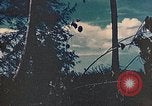 Standbild 5 Marine Regiment Peleliu Palau Inseln, 1944, aus Sekunde 17 historischem Filmmaterial Videoclip 65675022869
