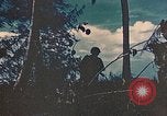 Standbild 5 Marine Regiment Peleliu Palau Inseln, 1944, aus Sekunde 19 historischem Filmmaterial Videoclip 65675022869