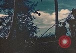 Standbild 5 Marine Regiment Peleliu Palau Inseln, 1944, aus Sekunde 21 historischem Filmmaterial Videoclip 65675022869