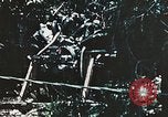Standbild 1st Marine Division Peleliu Palau Inseln, 1944, aus Sekunde 6 historischem Filmmaterial Videoclip 65675022871