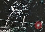 Standbild 1st Marine Division Peleliu Palau Inseln, 1944, aus Sekunde 7 historischem Filmmaterial Videoclip 65675022871
