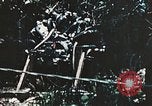 Standbild 1st Marine Division Peleliu Palau Inseln, 1944, aus Sekunde 8 historischem Filmmaterial Videoclip 65675022871