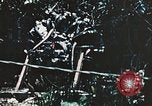 Standbild 1st Marine Division Peleliu Palau Inseln, 1944, aus Sekunde 9 historischem Filmmaterial Videoclip 65675022871
