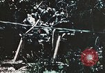 Standbild 1st Marine Division Peleliu Palau Inseln, 1944, aus Sekunde 10 historischem Filmmaterial Videoclip 65675022871