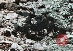 Standbild 1st Marine Division Peleliu Palau Inseln, 1944, aus Sekunde 13 historischem Filmmaterial Videoclip 65675022871