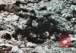 Standbild 1st Marine Division Peleliu Palau Inseln, 1944, aus Sekunde 14 historischem Filmmaterial Videoclip 65675022871