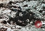Standbild 1st Marine Division Peleliu Palau Inseln, 1944, aus Sekunde 15 historischem Filmmaterial Videoclip 65675022871