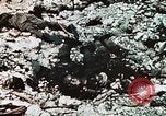 Standbild 1st Marine Division Peleliu Palau Inseln, 1944, aus Sekunde 16 historischem Filmmaterial Videoclip 65675022871