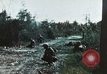 Standbild 1st Marine Division Peleliu Palau Inseln, 1944, aus Sekunde 26 historischem Filmmaterial Videoclip 65675022871
