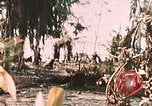 Standbild 1st Marine Division Peleliu Palau Inseln, 1944, aus Sekunde 52 historischem Filmmaterial Videoclip 65675022871