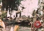Standbild 1st Marine Division Peleliu Palau Inseln, 1944, aus Sekunde 53 historischem Filmmaterial Videoclip 65675022871