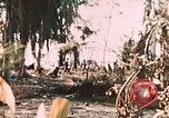 Standbild 1st Marine Division Peleliu Palau Inseln, 1944, aus Sekunde 54 historischem Filmmaterial Videoclip 65675022871
