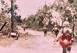 Standbild 7 Marine Regiment Peleliu Palau Inseln, 1944, aus Sekunde 6 historischem Filmmaterial Videoclip 65675022872