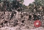 Standbild 7 Marine Regiment Peleliu Palau Inseln, 1944, aus Sekunde 21 historischem Filmmaterial Videoclip 65675022872