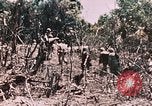 Standbild 7 Marine Regiment Peleliu Palau Inseln, 1944, aus Sekunde 22 historischem Filmmaterial Videoclip 65675022872
