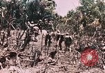 Standbild 7 Marine Regiment Peleliu Palau Inseln, 1944, aus Sekunde 23 historischem Filmmaterial Videoclip 65675022872