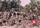 Standbild 7 Marine Regiment Peleliu Palau Inseln, 1944, aus Sekunde 24 historischem Filmmaterial Videoclip 65675022872