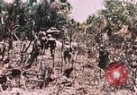 Standbild 7 Marine Regiment Peleliu Palau Inseln, 1944, aus Sekunde 25 historischem Filmmaterial Videoclip 65675022872