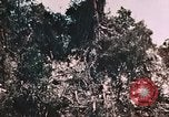Standbild 7 Marine Regiment Peleliu Palau Inseln, 1944, aus Sekunde 27 historischem Filmmaterial Videoclip 65675022872