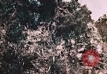 Standbild 7 Marine Regiment Peleliu Palau Inseln, 1944, aus Sekunde 34 historischem Filmmaterial Videoclip 65675022872