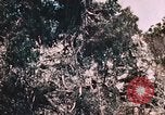 Standbild 7 Marine Regiment Peleliu Palau Inseln, 1944, aus Sekunde 35 historischem Filmmaterial Videoclip 65675022872