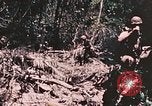 Standbild 7 Marine Regiment Peleliu Palau Inseln, 1944, aus Sekunde 39 historischem Filmmaterial Videoclip 65675022872
