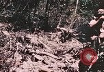 Standbild 7 Marine Regiment Peleliu Palau Inseln, 1944, aus Sekunde 40 historischem Filmmaterial Videoclip 65675022872