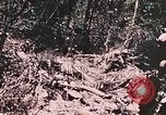 Standbild 7 Marine Regiment Peleliu Palau Inseln, 1944, aus Sekunde 42 historischem Filmmaterial Videoclip 65675022872