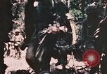 Standbild 7 Marine Regiment Peleliu Palau Inseln, 1944, aus Sekunde 43 historischem Filmmaterial Videoclip 65675022872