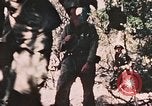 Standbild 7 Marine Regiment Peleliu Palau Inseln, 1944, aus Sekunde 46 historischem Filmmaterial Videoclip 65675022872