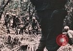 Standbild 7 Marine Regiment Peleliu Palau Inseln, 1944, aus Sekunde 49 historischem Filmmaterial Videoclip 65675022872