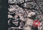 Standbild 7 Marine Regiment Peleliu Palau Inseln, 1944, aus Sekunde 56 historischem Filmmaterial Videoclip 65675022872