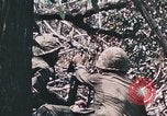 Standbild 7 Marine Regiment Peleliu Palau Inseln, 1944, aus Sekunde 57 historischem Filmmaterial Videoclip 65675022872
