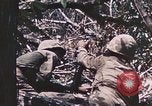 Standbild 7 Marine Regiment Peleliu Palau Inseln, 1944, aus Sekunde 61 historischem Filmmaterial Videoclip 65675022872