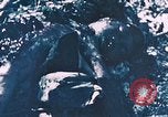 Standbild 7 Marine Regiment Peleliu Palau Inseln, 1944, aus Sekunde 3 historischem Filmmaterial Videoclip 65675022873