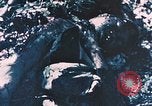 Standbild 7 Marine Regiment Peleliu Palau Inseln, 1944, aus Sekunde 4 historischem Filmmaterial Videoclip 65675022873