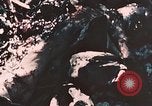 Standbild 7 Marine Regiment Peleliu Palau Inseln, 1944, aus Sekunde 6 historischem Filmmaterial Videoclip 65675022873