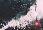 Standbild 7 Marine Regiment Peleliu Palau Inseln, 1944, aus Sekunde 9 historischem Filmmaterial Videoclip 65675022873