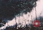 Standbild 7 Marine Regiment Peleliu Palau Inseln, 1944, aus Sekunde 10 historischem Filmmaterial Videoclip 65675022873